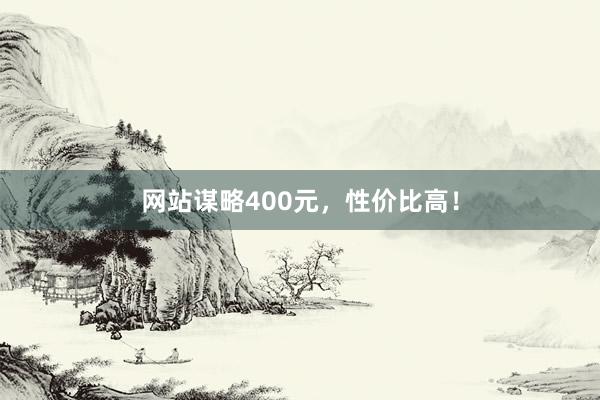 网站谋略400元，性价比高！