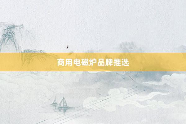 商用电磁炉品牌推选