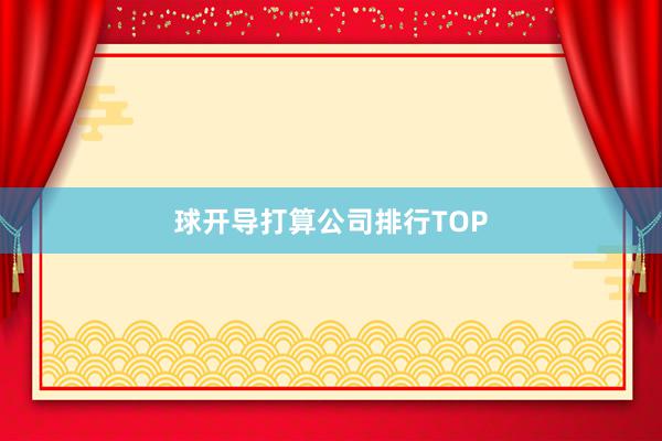 球开导打算公司排行TOP